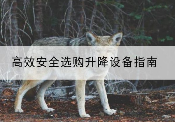 株洲升降货梯厂家推荐-*安全选购升降设备指南