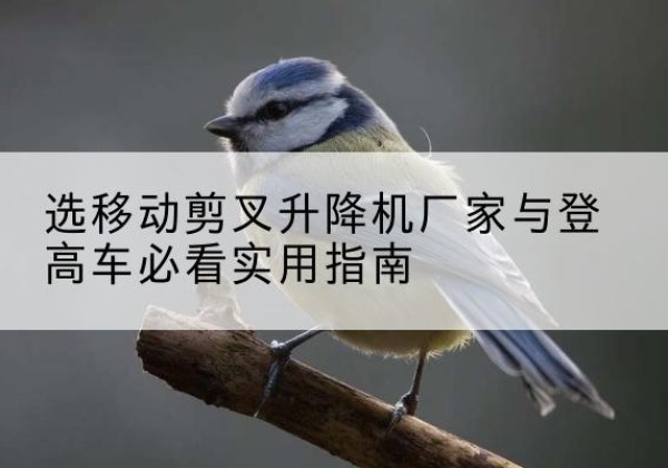 株洲电动升降机厂家-选移动剪叉升降机厂家与登高车必看实用指南