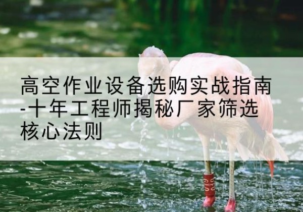 株洲剪叉式升降机厂家-高空作业设备选购实战指南-十年工程师揭秘厂家筛选核心法则